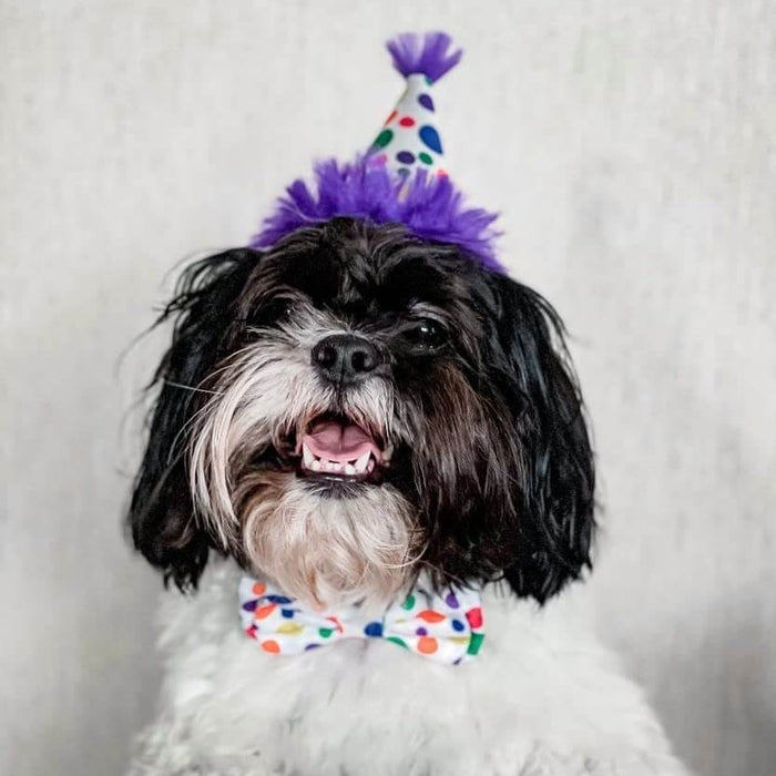 Huxley & Kent Happy Barkday Party Hat - Polkadots