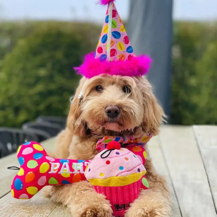 Huxley & Kent Happy Barkday Party Hat - Birthday Balloons