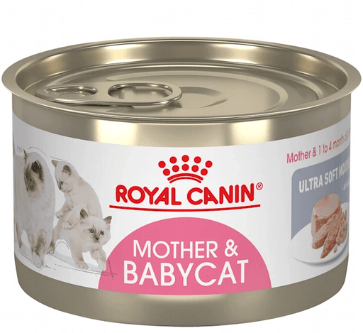 Small can of Royal Canin mother and baby cat wet food. 