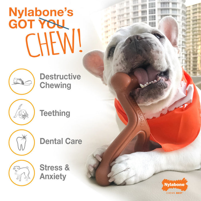 Nylabone Power Chew Bone, Souper
