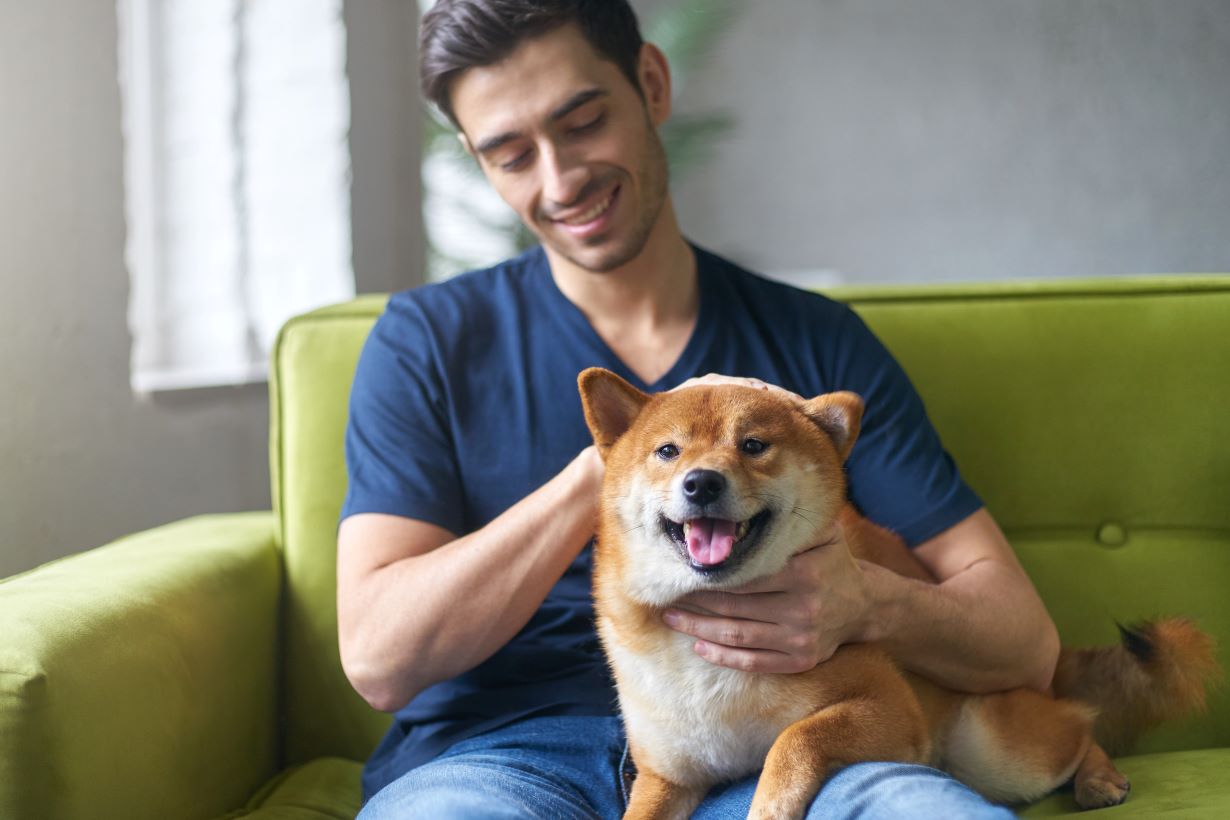 Man checks his dog for Skin and Coat issues