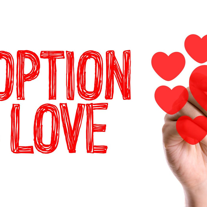 Jake's supports rescue groups and shelters throughout Palm Beach County