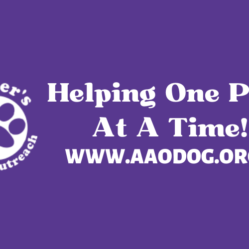 Amber's Animal Outreach Rescue Group