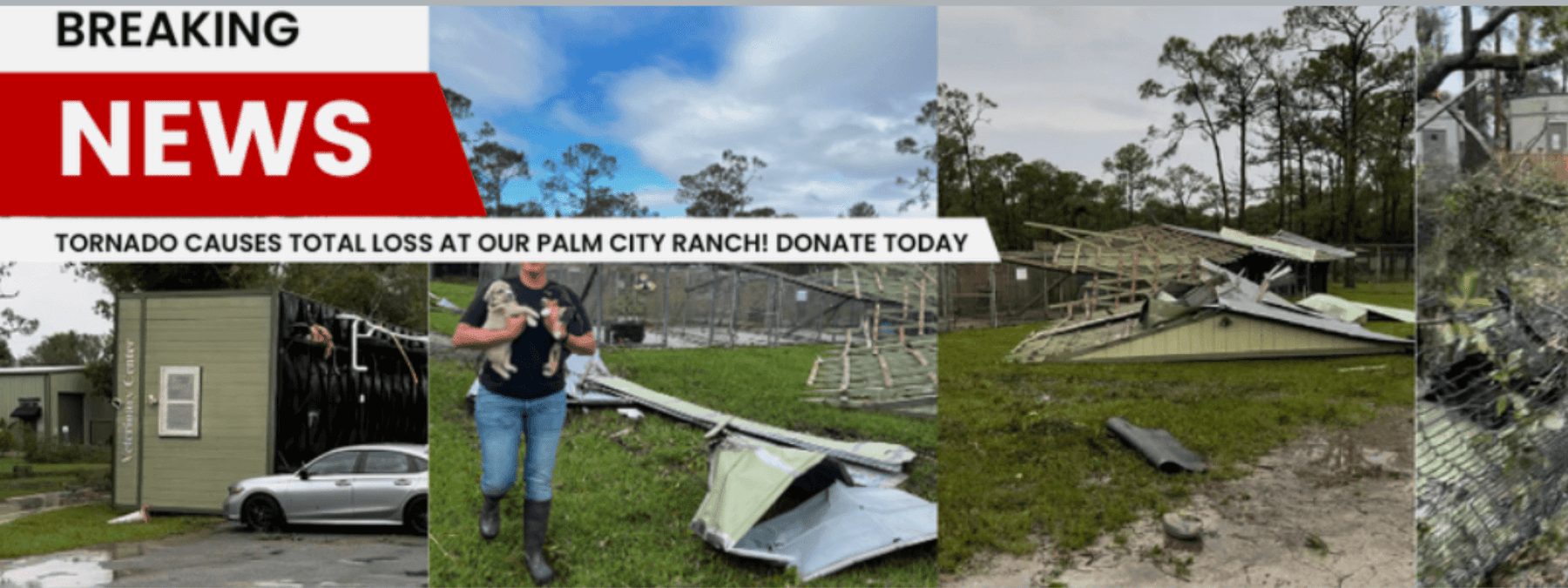 Furry Friends Adoption Clinic and Ranch Jupiter