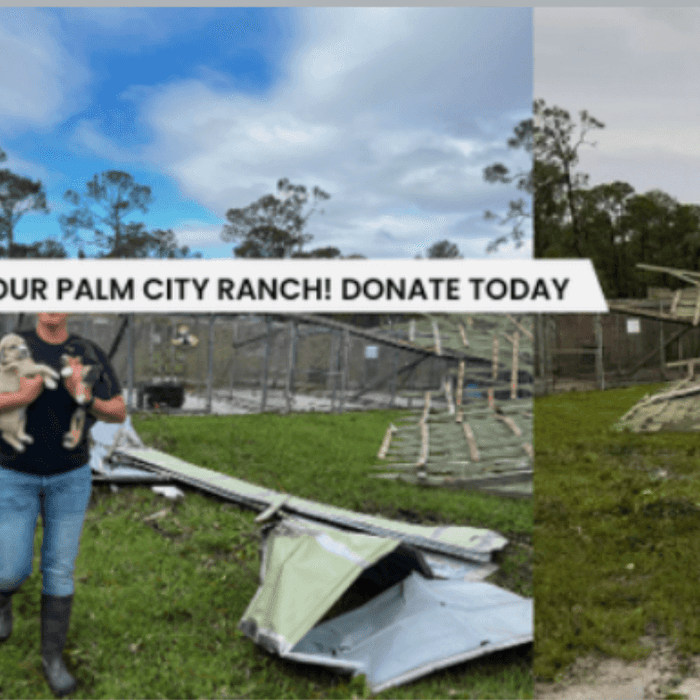 Furry Friends Adoption Clinic and Ranch Jupiter