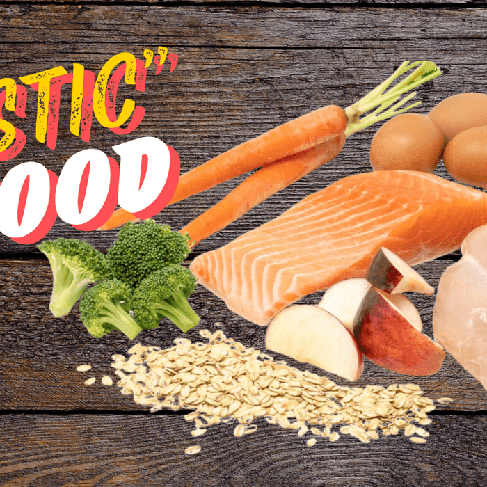 Holistic Pet Food at Jake's Pet Supply