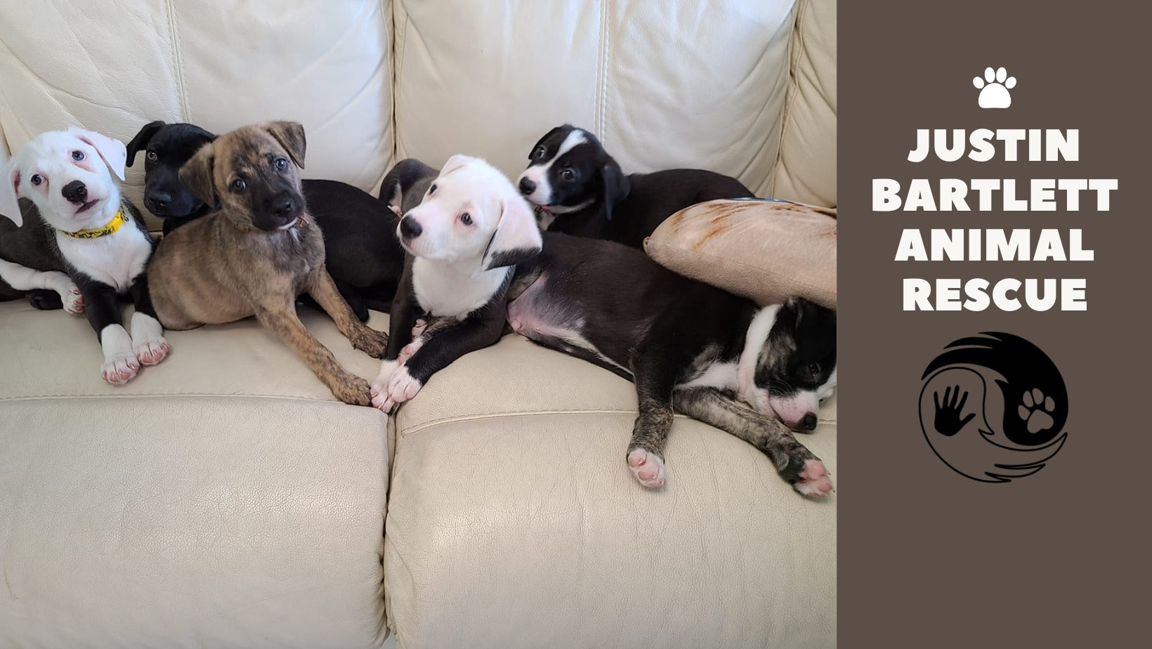 Justin Bartlett Animal Rescue