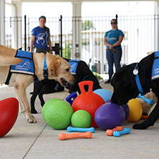 Jolly Pets Partners with Canine Companions