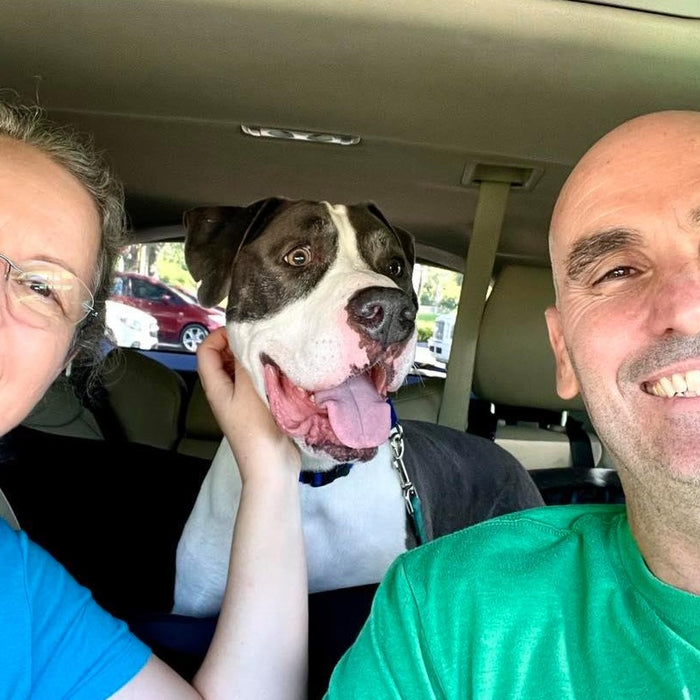 Lorrie Browne and Tim Chance of Palm Beach Shelter Dog Project with a dog being rescued from Palm Beach Animal Care and Control