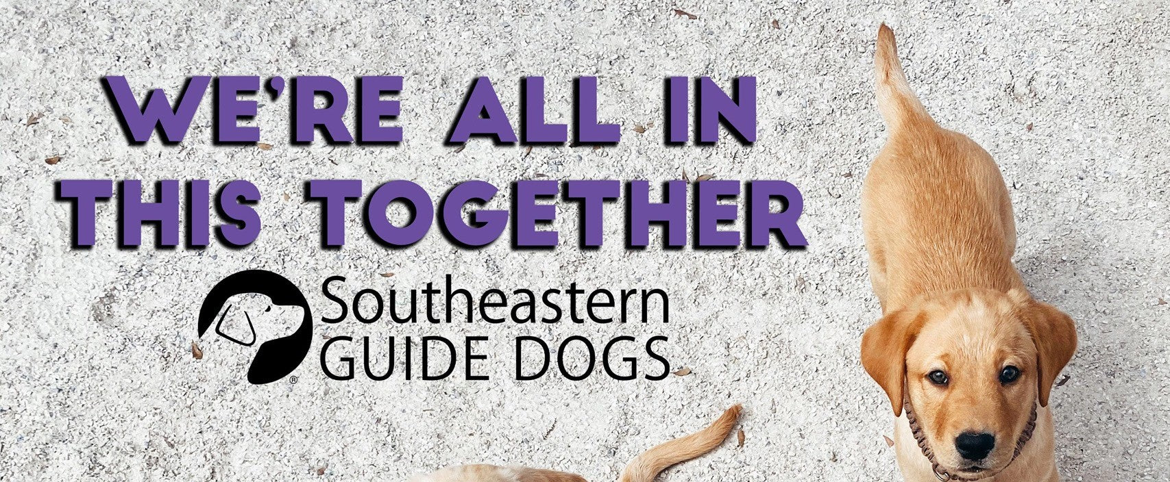 Southeastern Guide Dogs sponsored by Fromm Family Foods