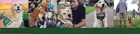 New Horizons Service Dogs supporting people in wheelchairs