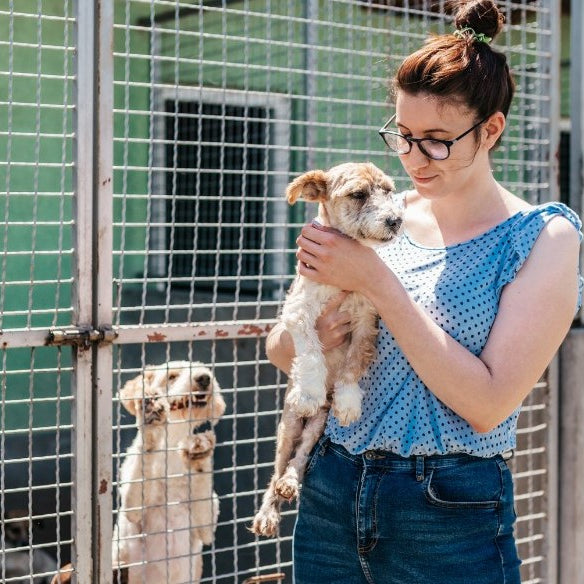 Woman at Palm Beach County Animal Care and Control choosing a dog to foster