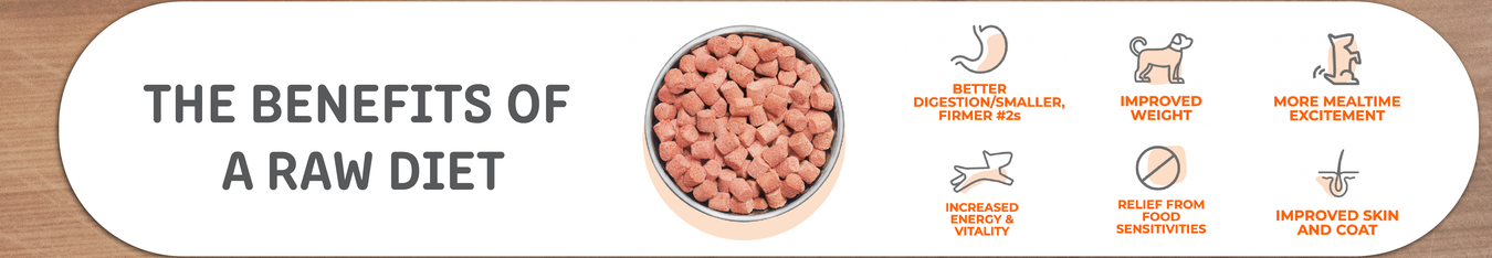 Raw Pet Foods For Dogs and Cats