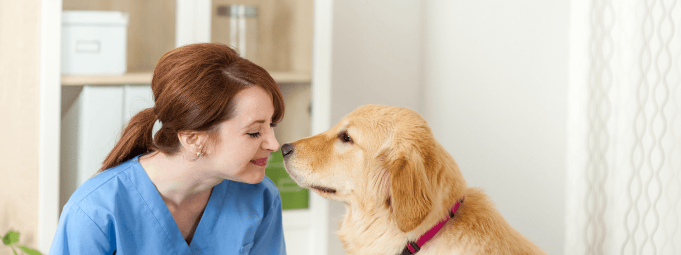 Functional Dog Foods