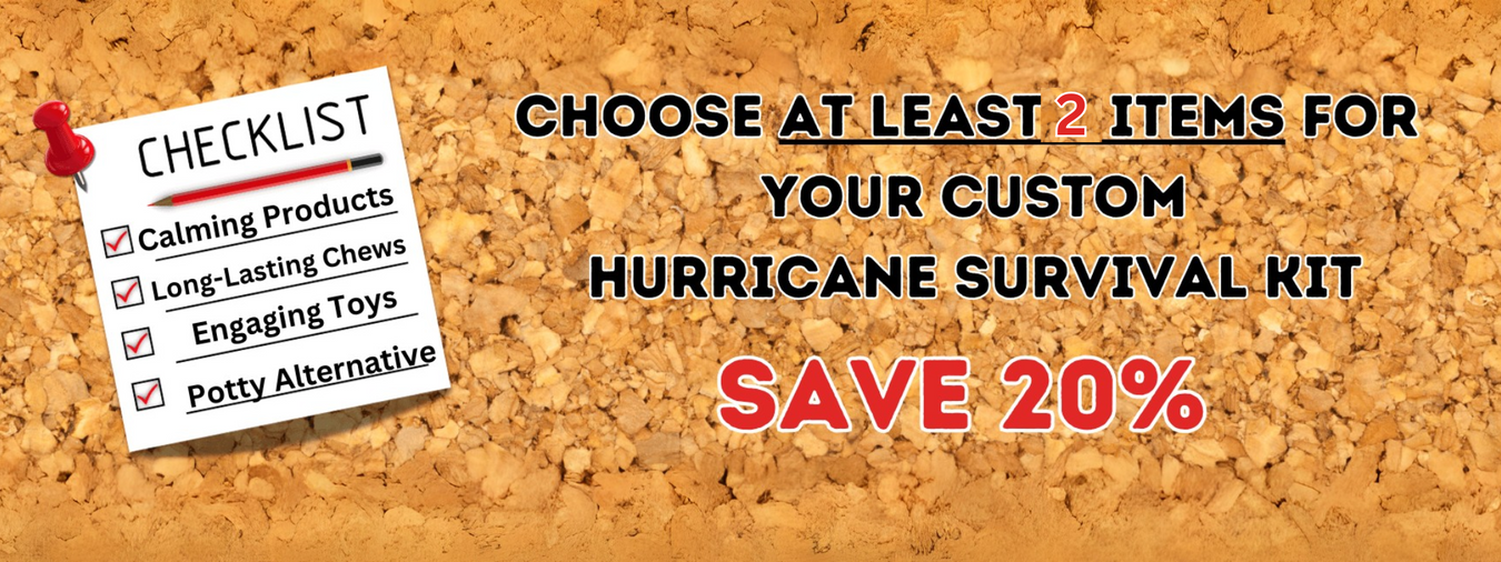 Hurricane Survival Kits