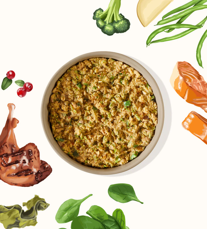 My Perfect Pet Glycemic-Friendly Dog Food, Tino's Turkey Blend - Turkey & Wild Salmon Recipe