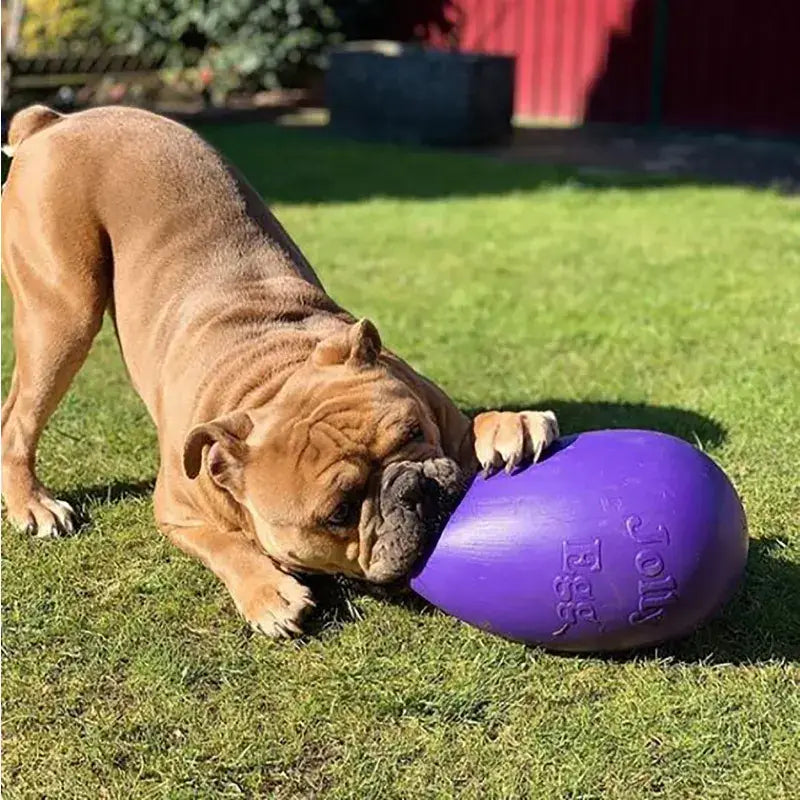 Jolly Pets Jolly Egg