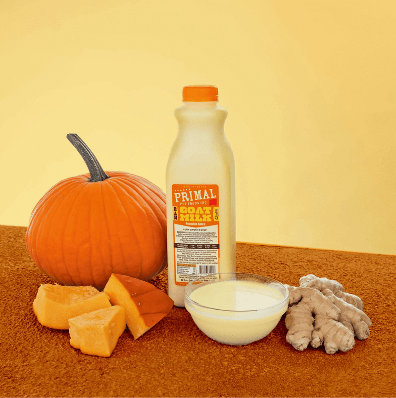 Primal Frozen Goat Milk, Pumpkin Spice 32 oz