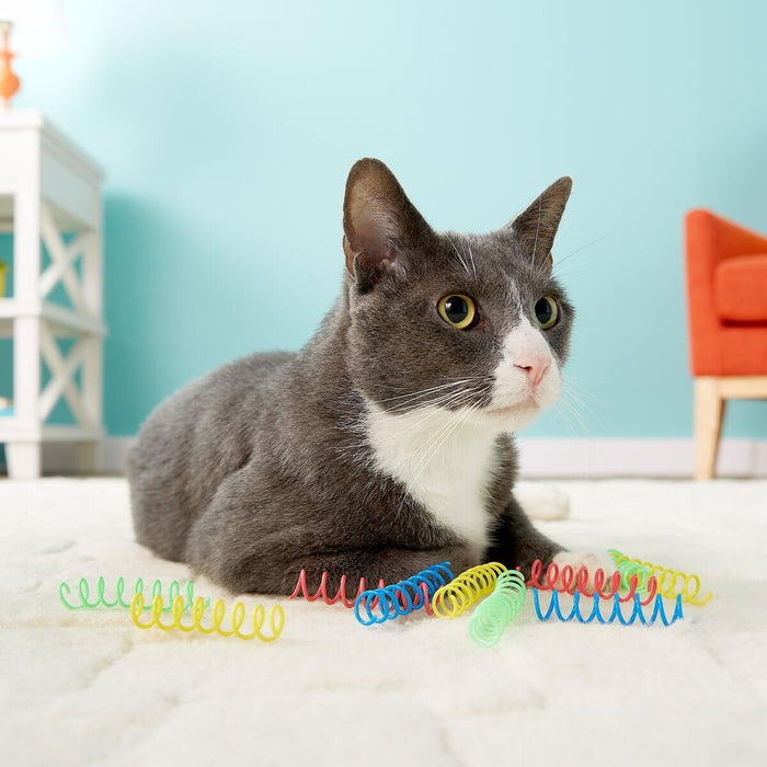 SPOT Colorful Springs Cat Toy