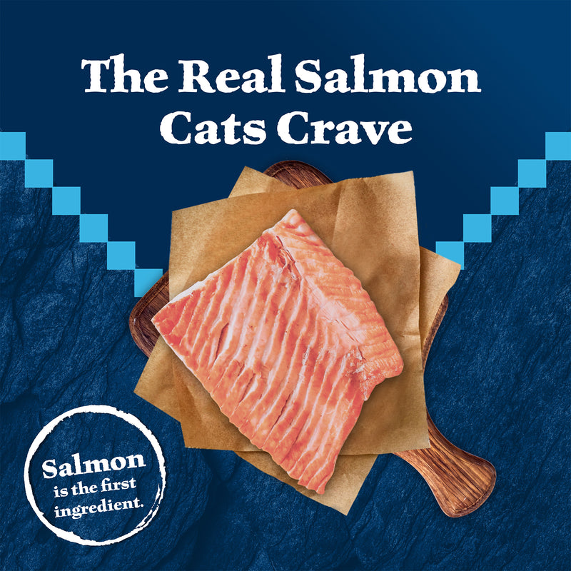 Blue Buffalo Wilderness Feline Salmon