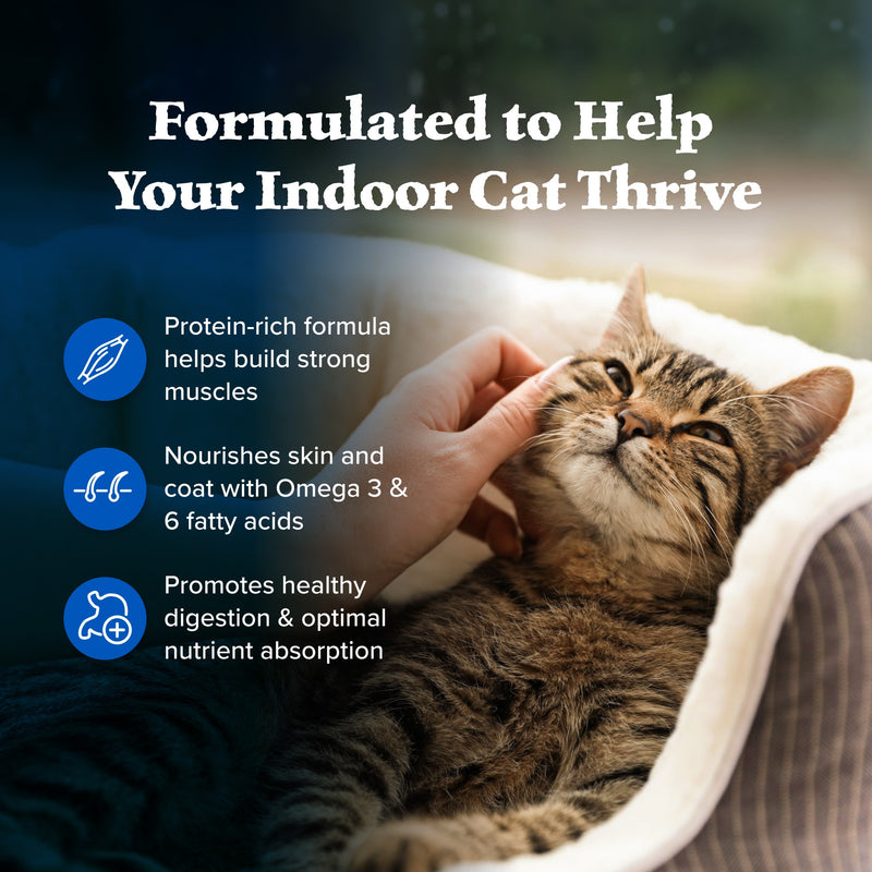 Blue Buffalo Wilderness Indoor Chicken Cat Dry Food