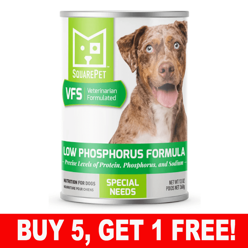 SquarePet VFS Low Phosphorous Formula, 13 oz can