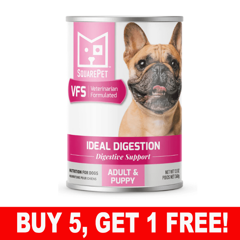 SquarePet VFS Ideal Digestion Formula, 13 oz can