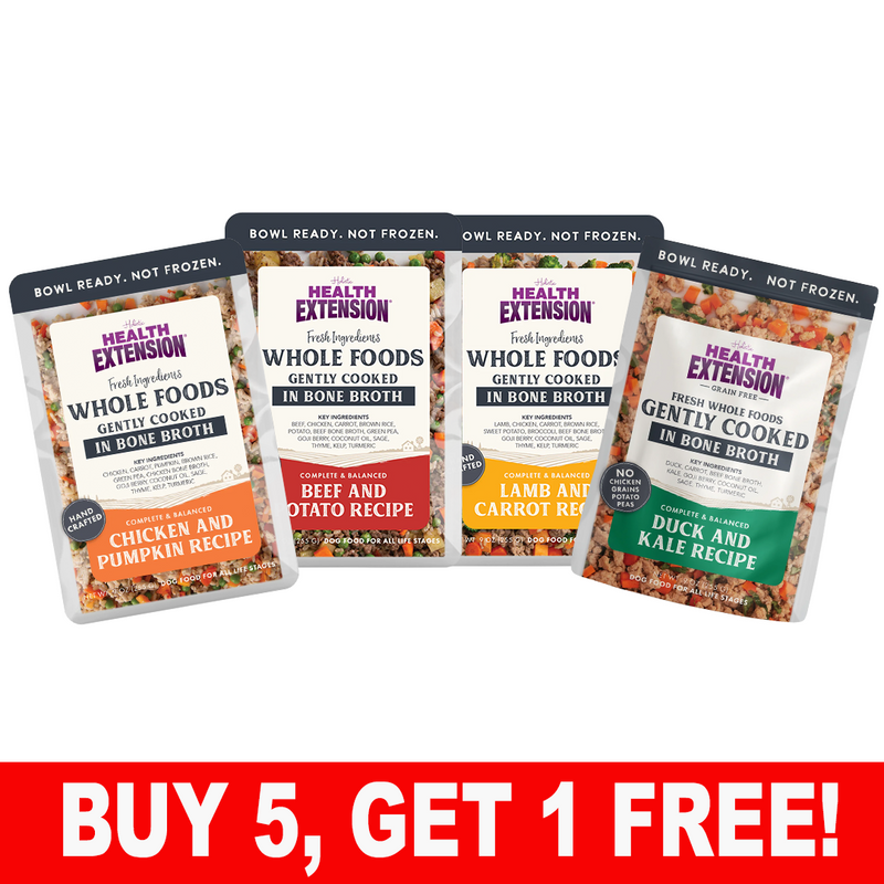 Health Extension Whole Foods Gently Cooked Dog Food 9 oz