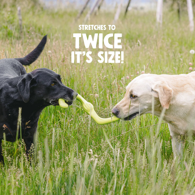 West Paw Bumi Dogs Playing