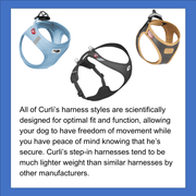 Curli dog harness