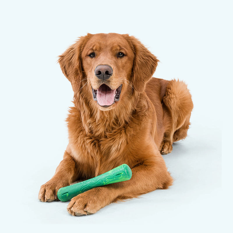 West Paw Drifty - dog with toy