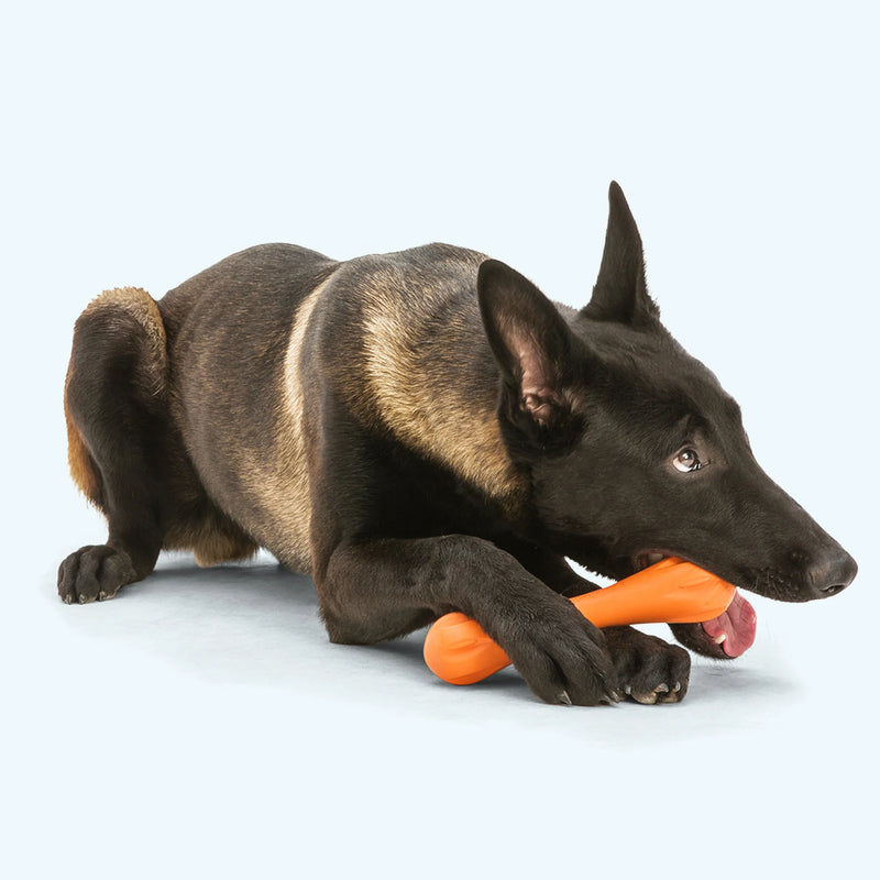 West Paw Hurley - XSmall