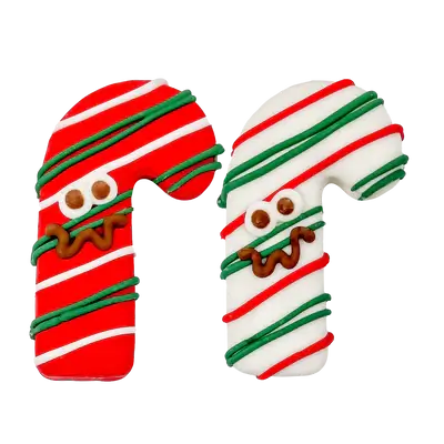 Bosco & Roxy Striped & Confused