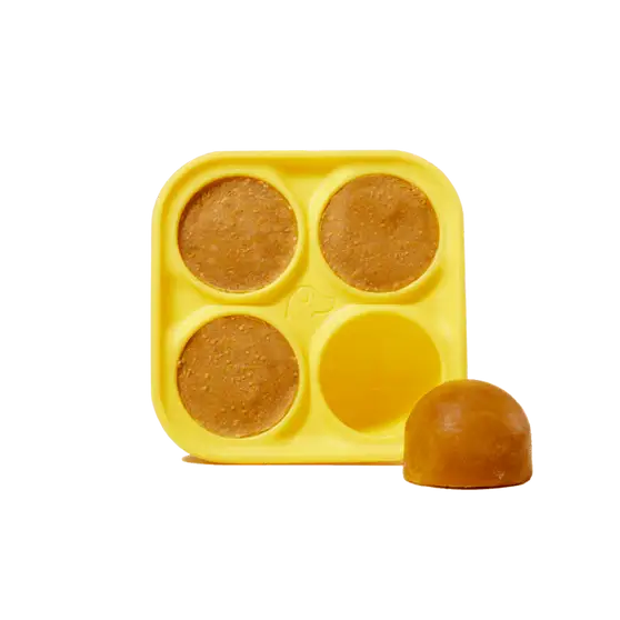 Woof Dog Treat Tray Freezer Mold