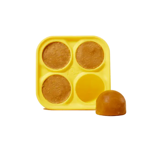 Woof Dog Treat Tray Freezer Mold