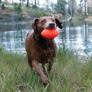 RuffDawg FOOTBALL XL DOG