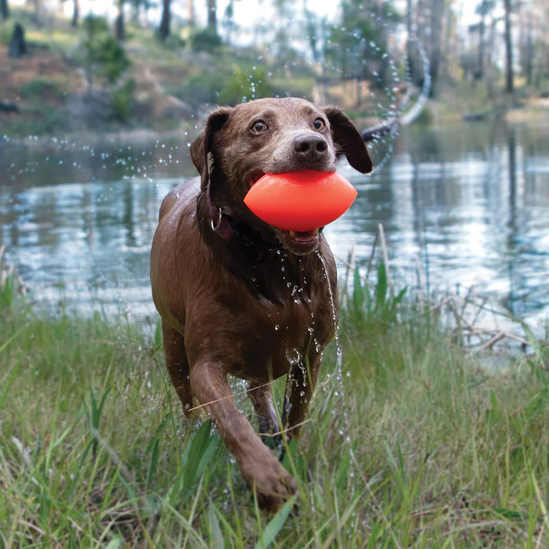 RuffDawg FOOTBALL XL DOG