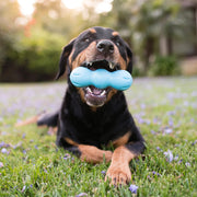 West Paw Rumpus Toy - Small, blue, dog playing
