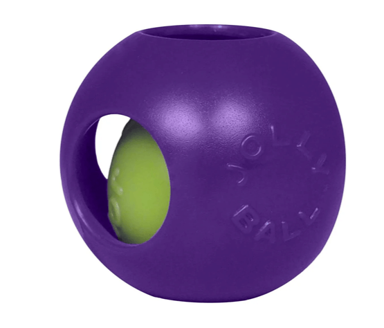 Jolly Pet Teaser Ball 10"