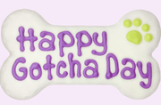 Bosco & Roxy's Happy Gotcha Day 6" Bone