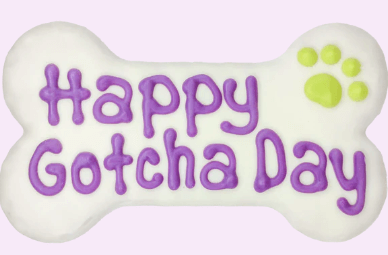 Bosco & Roxy's Happy Gotcha Day 6" Bone