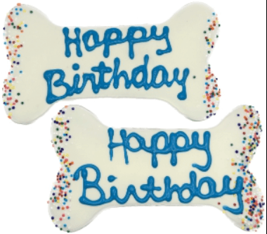 Preppy Puppy Blue Birthday Bone 5.5"