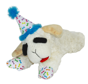 Multipet Lamb Chop with Birthday Hat Plush Dog Toy, Blue Medium