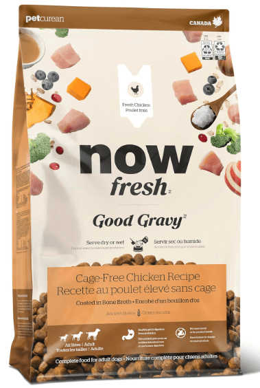 Now Good Gravy Bone Broth Coated Dog Food With Grains, Chicken 22lb
