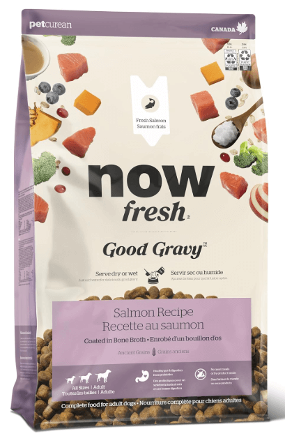 Now Good Gravy Bone Broth Coated Dog Food With Grains, Salmon 22lb