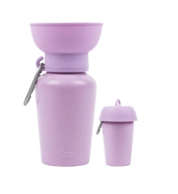 Springer Flip Travel Water Bottle for Dogs - 20 oz