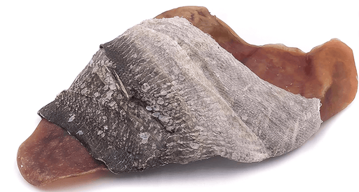 Icelandic+ Fish Ear - Pig Ear Hand-Wrapped in Cod Skin