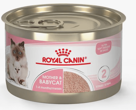 Royal Canin Feline Health Nutrition Mother & Babycat Ultra Soft Mousse in Sauce Wet Cat Food, 3-oz can