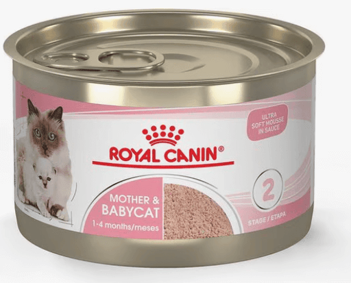 Royal Canin Feline Health Nutrition Mother & Babycat Ultra Soft Mousse in Sauce Wet Cat Food, 3-oz can