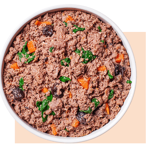 Instinct FreshRaw Meals Cage-Free Turkey Recipe for Dogs